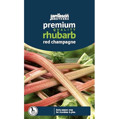 Jamieson Brothers Red Champagne Rhubarb Seeds Cover