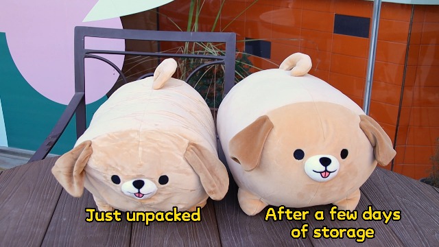 Amazon.com: Leokawin Dog Plush Pillow,15Inch Cute Big Dogs Stuffed