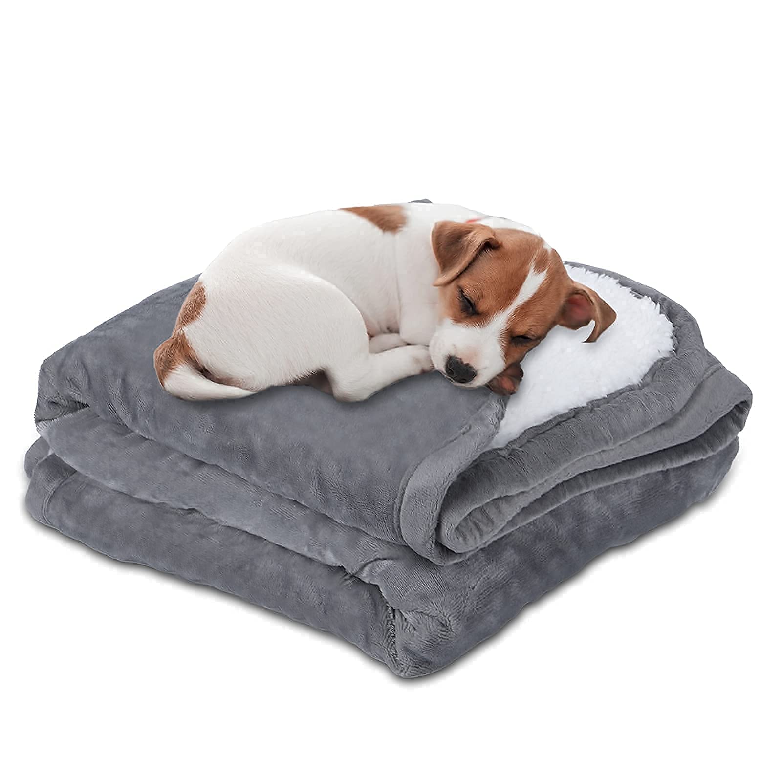 Are Blankets Safe For Dogs