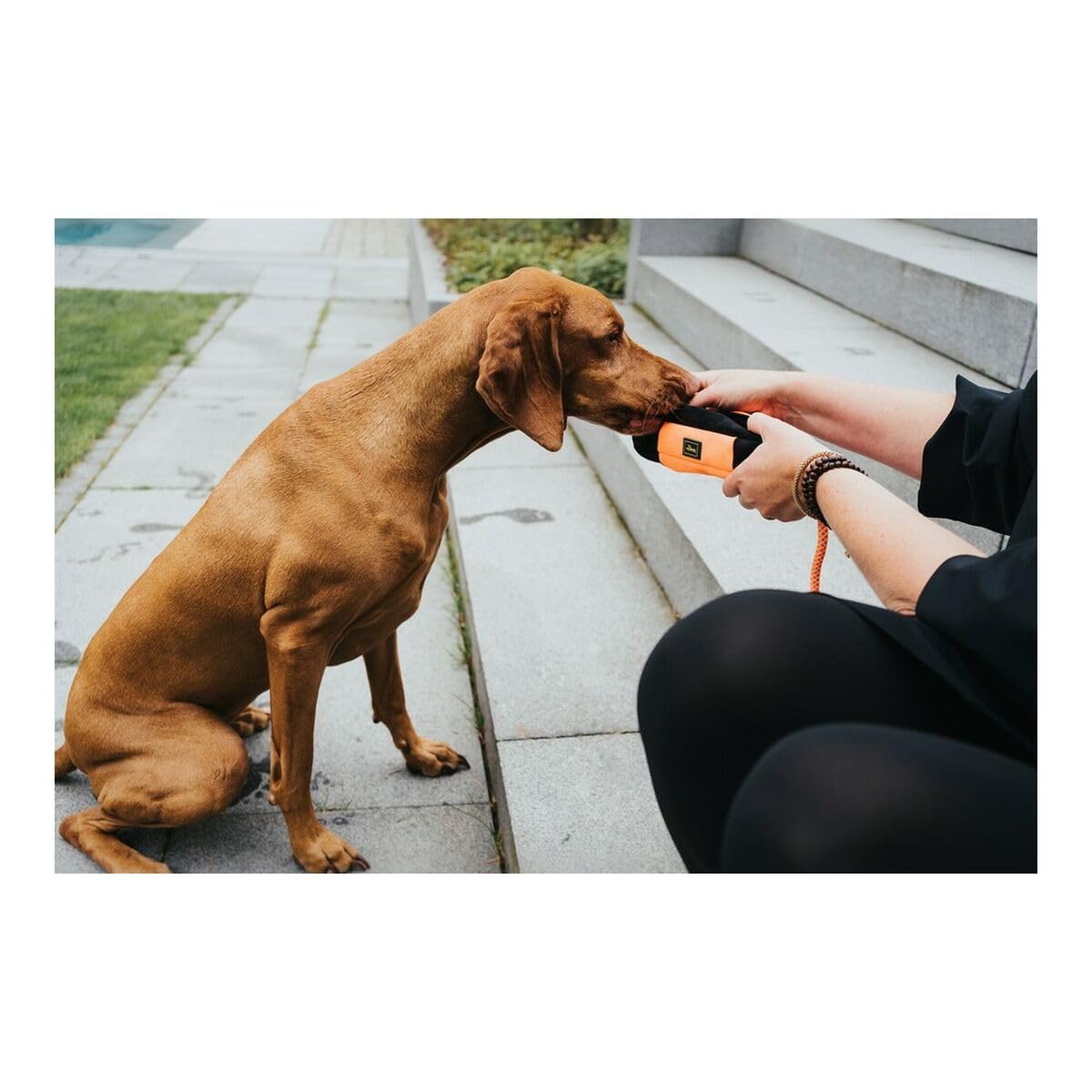 HUNTER Trainer Snack Dummy con corda di lancio, 37 cm, arancione/nero