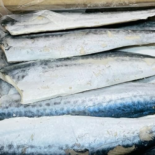 さわらフィーレ(サゴシ3枚おろし) 4kg20枚(1枚約200g)【便利な腹骨無し冷凍魚】煮付、ムニエル、ホイル焼き、お弁当に【冷凍便】