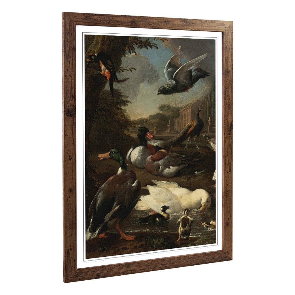 Big Box Art Framed Print of Melchior d'Hondecoeter Ducks and Swan Design | Wall Art Picture | Home Decor for Kitchen, Living Room, Bedroom, Hallway, Walnut, A2 / 24.5x18 Inch / 62x45cm