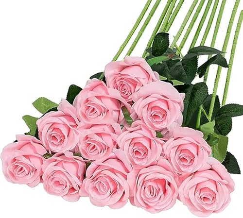 AZIEBAY lHoA12ZbgA{ŔAG肪_炩A͂邱Ƃ͂܂BAv|[YAaAo^Cf[A̓ȂǂɍœKłB