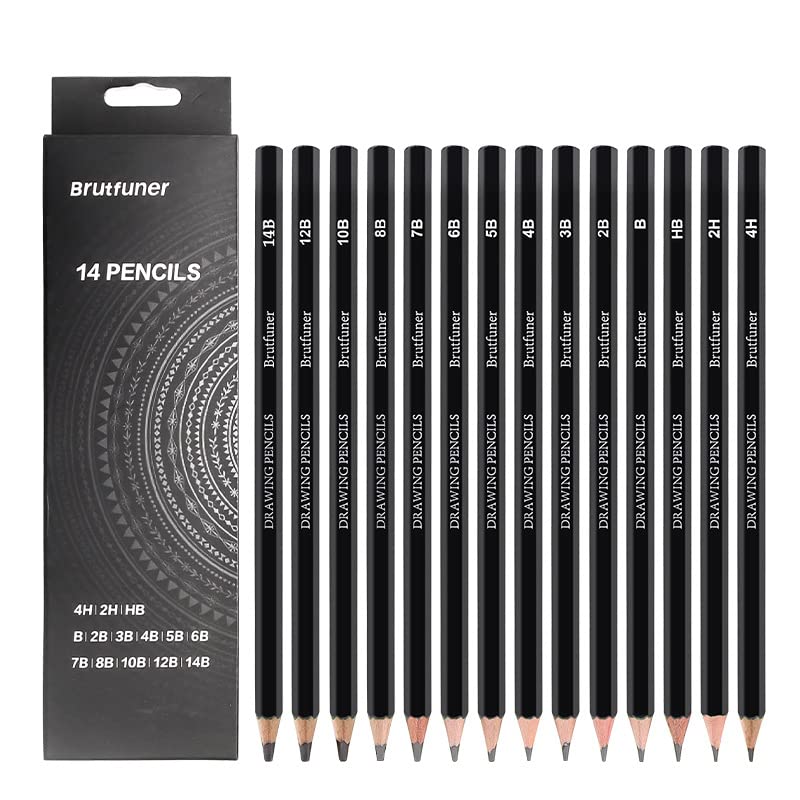Wonwood_direct Set di 14 Matite da Disegno, Set Professionale di Matite da Disegno con Temperino e Gomma per Artisti, Bambini, Adulti, Dello Schizzo