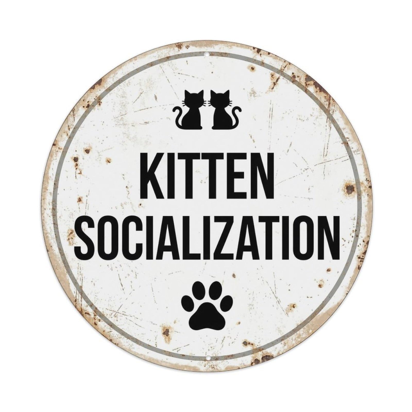 Vintage Kitten Socialization Decor Metal Tin Sign