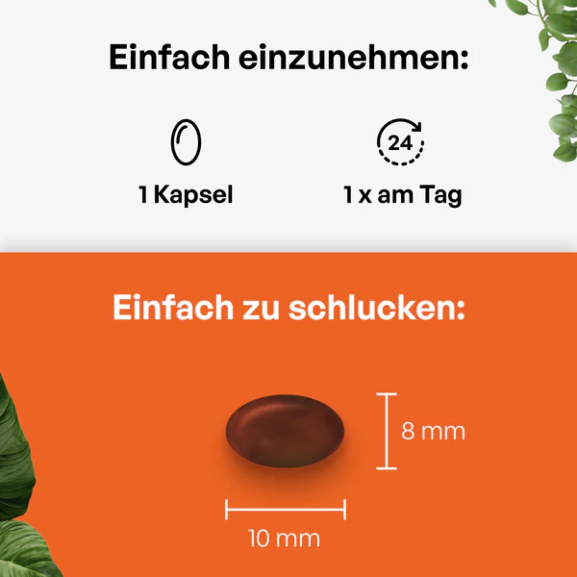 Vitamin A5 NEU identifizierts Vitamin A - 1 Monatsvorrat 30 Kapseln Nahrungsergänzung Natürlicher Extrakt hochdosierte Formel – Patentiert Made in Germany