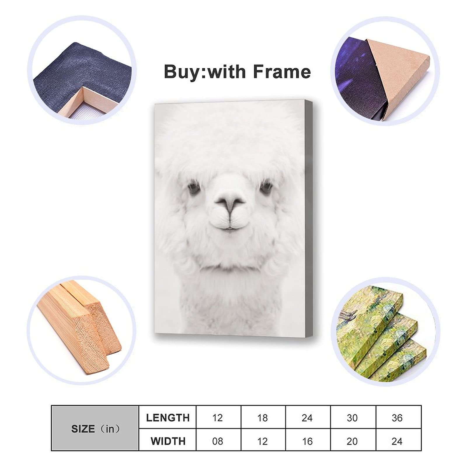 Amazon.co.jp: PYFXSALA 動物 アルパカ 笑顔 アルパカ ポスター