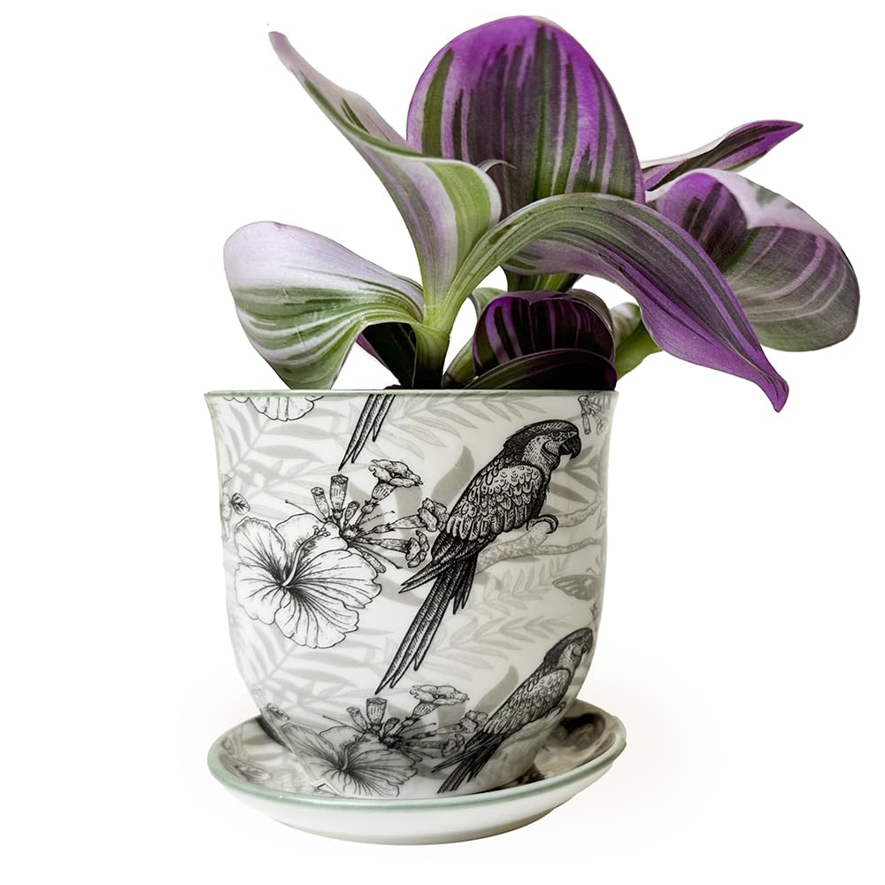 CHIVE Pots De Fleurs Succulentes En Céramique « Liberte » – Jolis Pots De Style Vintage Pour Plantes D'intérieur – Belle Décoration De Maison Et De Cuisine – Crâne