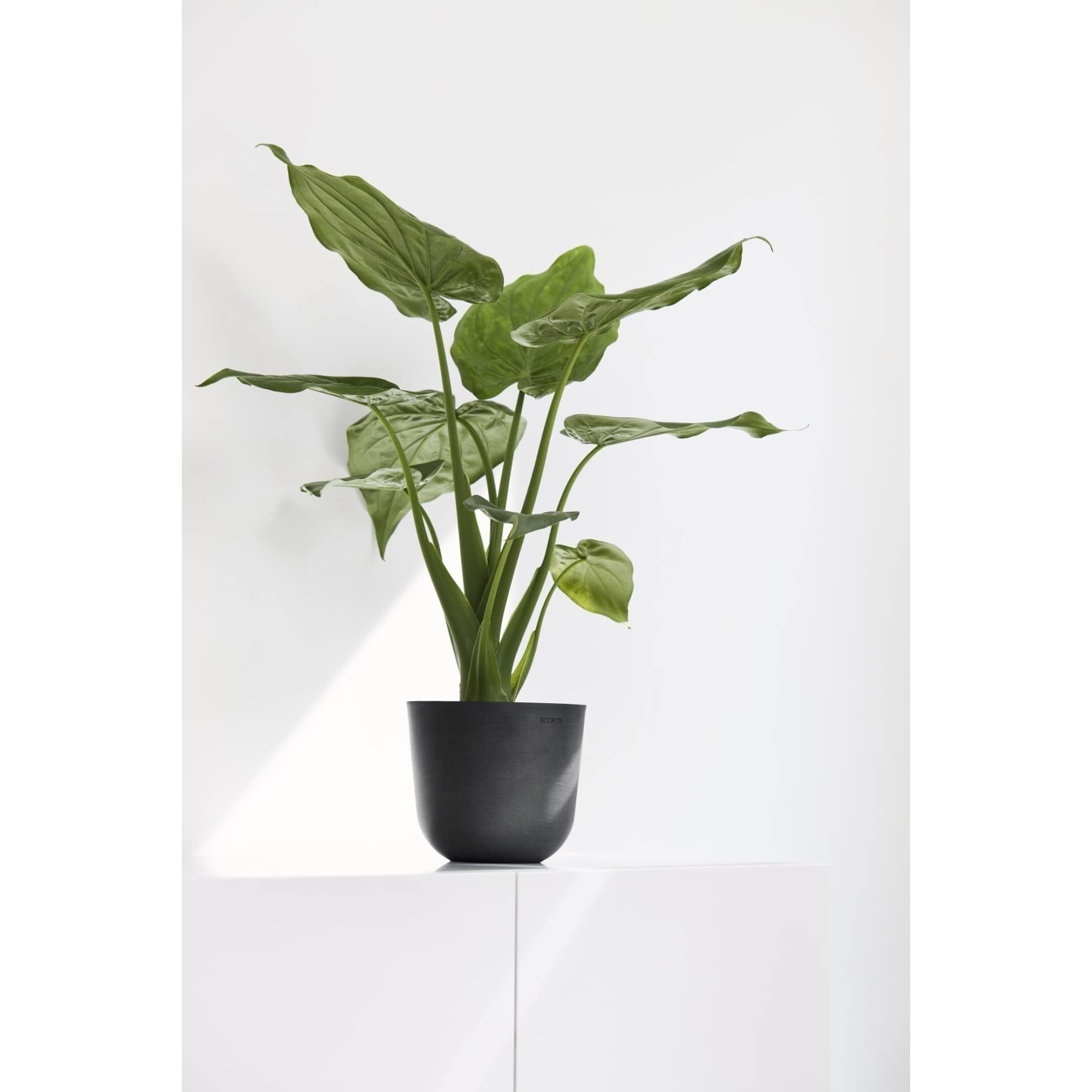 ECOPOTS Ashortwalk Vaso per piante in plastica riciclata, diametro 55 cm x altezza 47,9 cm, colore: grigio