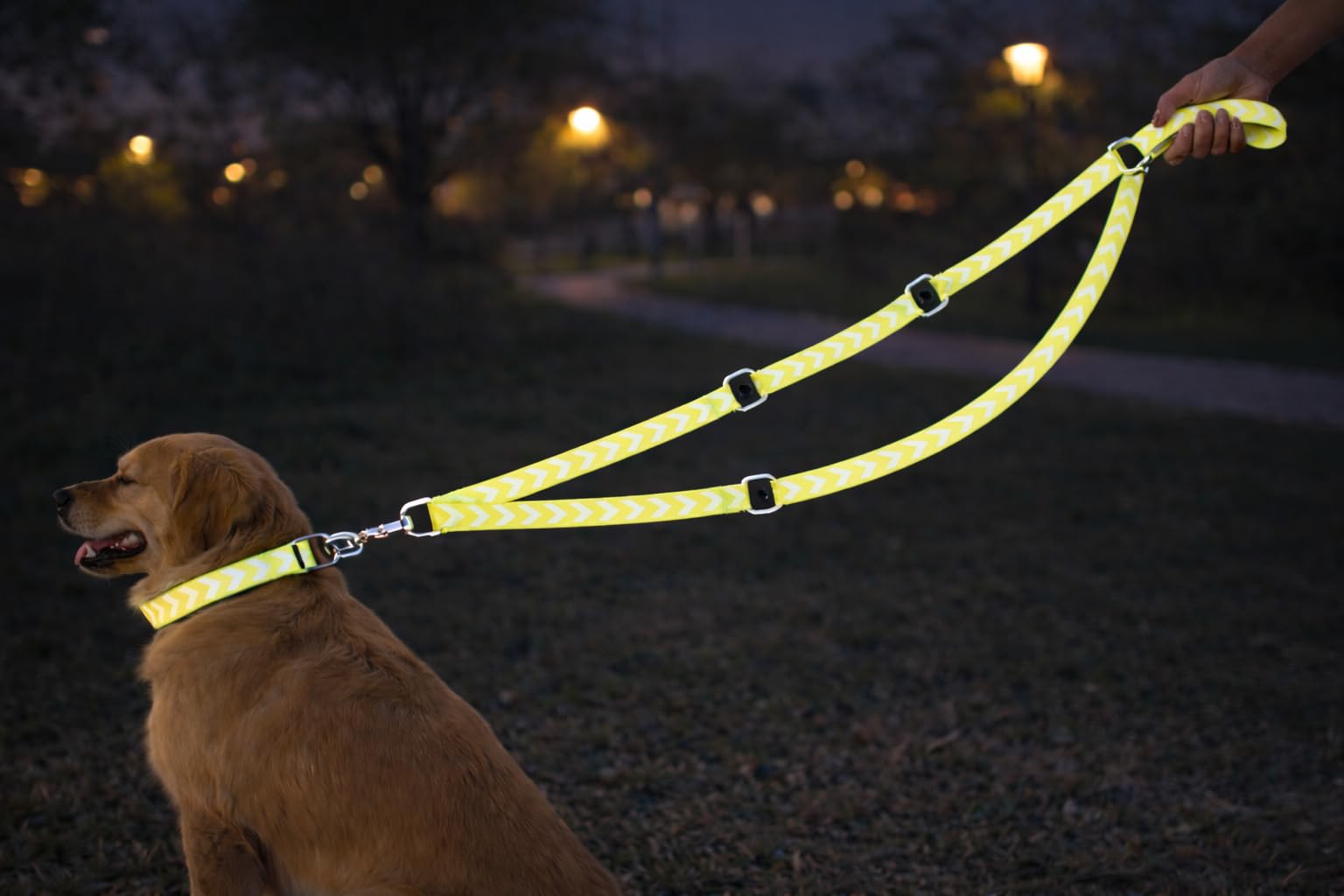 Dog Training leash Fergu Fluo yellow 2m 25mm