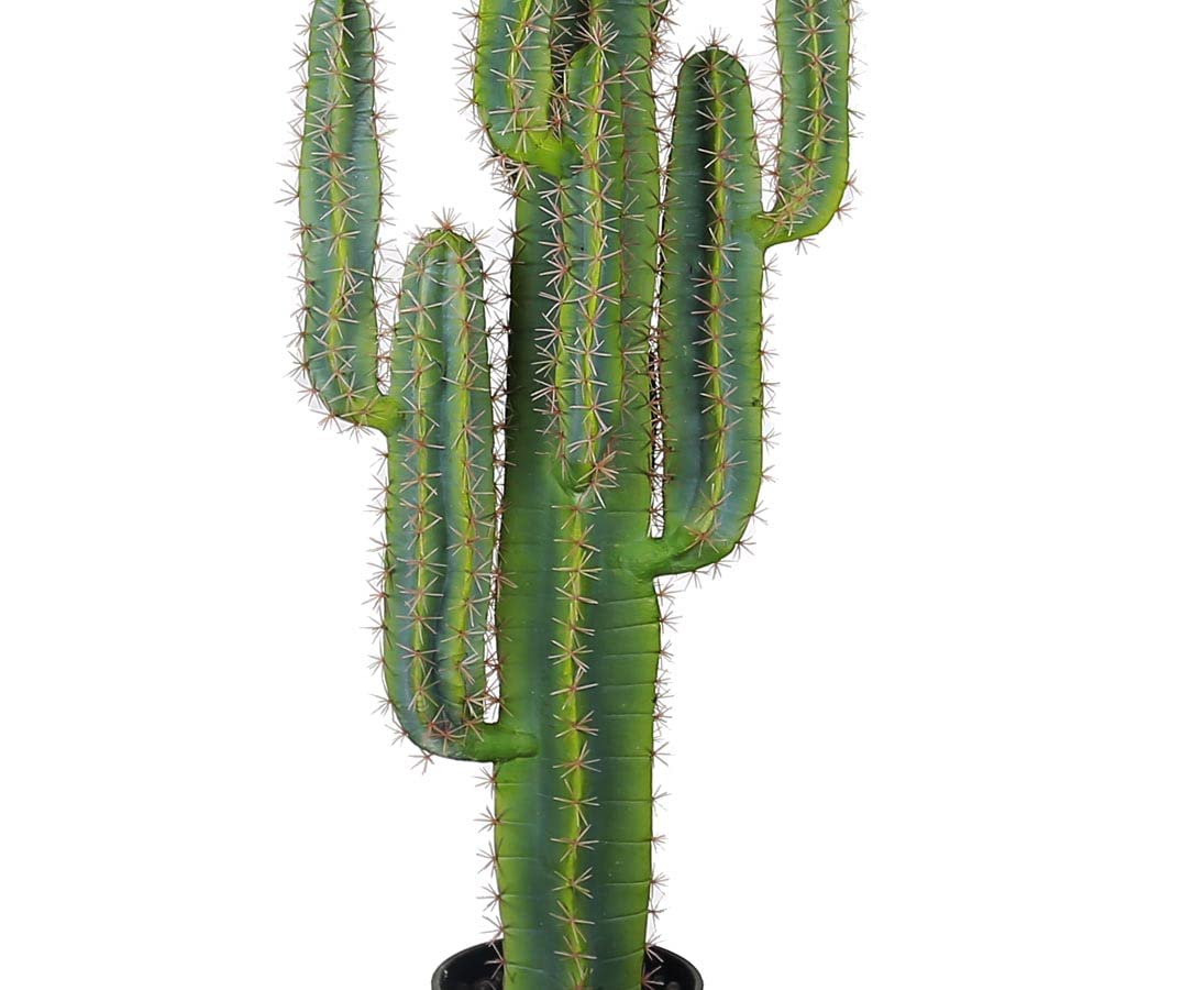 Amazon.de: kunstpflanzen-discount.com Finger Cactus knstlich 147cm im  dekorativen Topf - knstliche Kakteen Finger Cactus mit Armen und Stachel  ideal ...