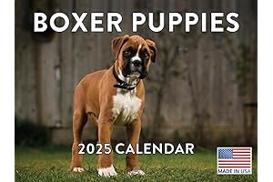 Boxer Dog Wall Calendar 2024: Stunning Wall Calendar for Boxer Dog Lovers