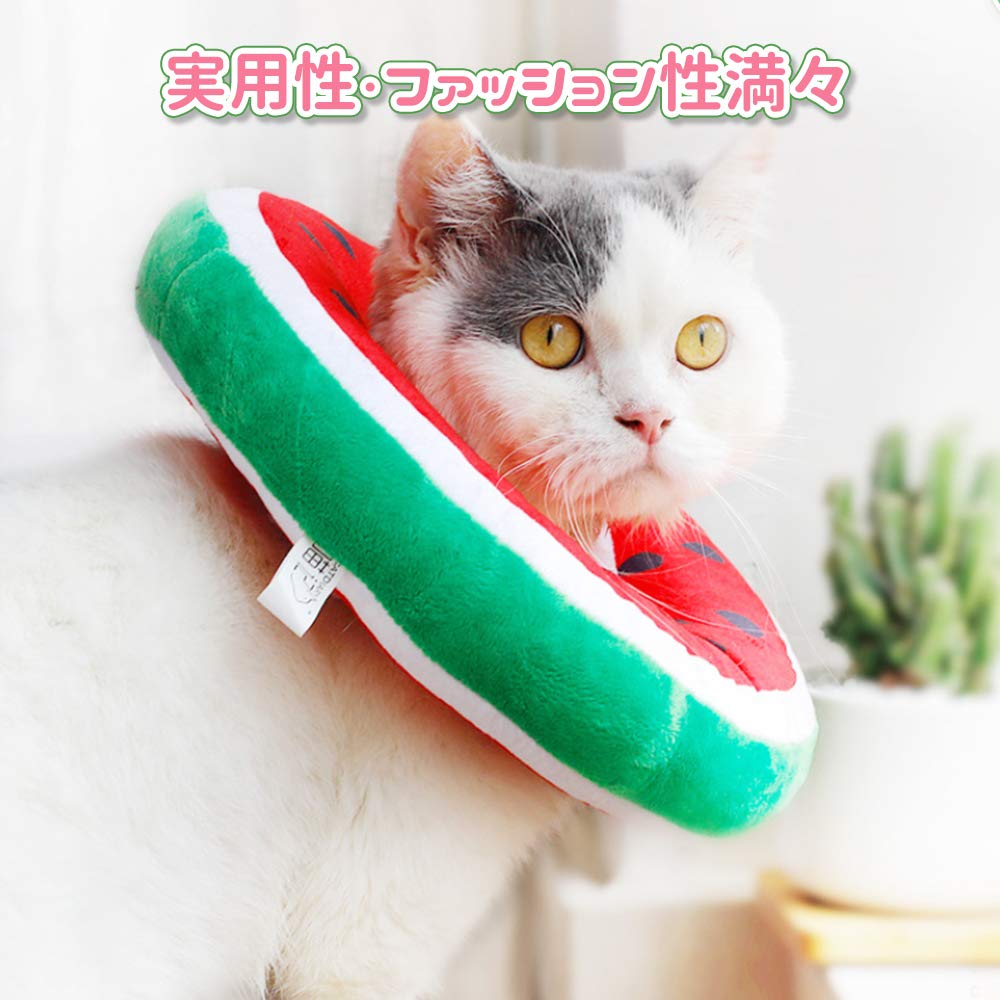 スイートビオラ(オレンジ)短毛シュシュ、わんちゃん猫ちゃん用 おウチ・クチュール ピンクッションブラシM OC-13｜お手入れ