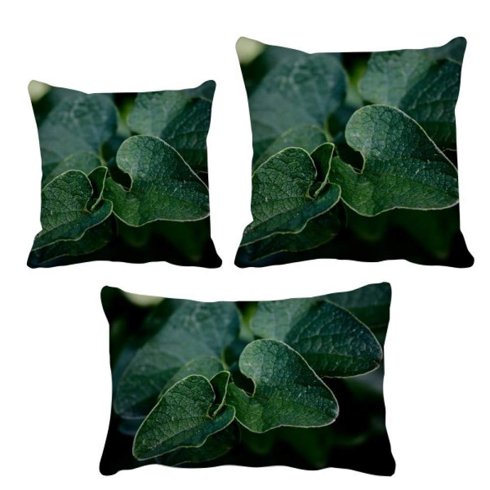 Housse de coussin feuilles sombres DIYthinker pour la décoration de votre canapé