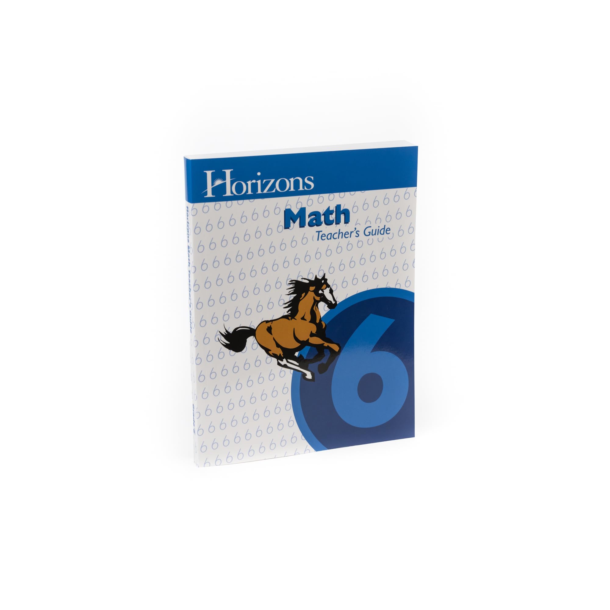 Horizons Mathematics, Grade 6, Teacher's Edition