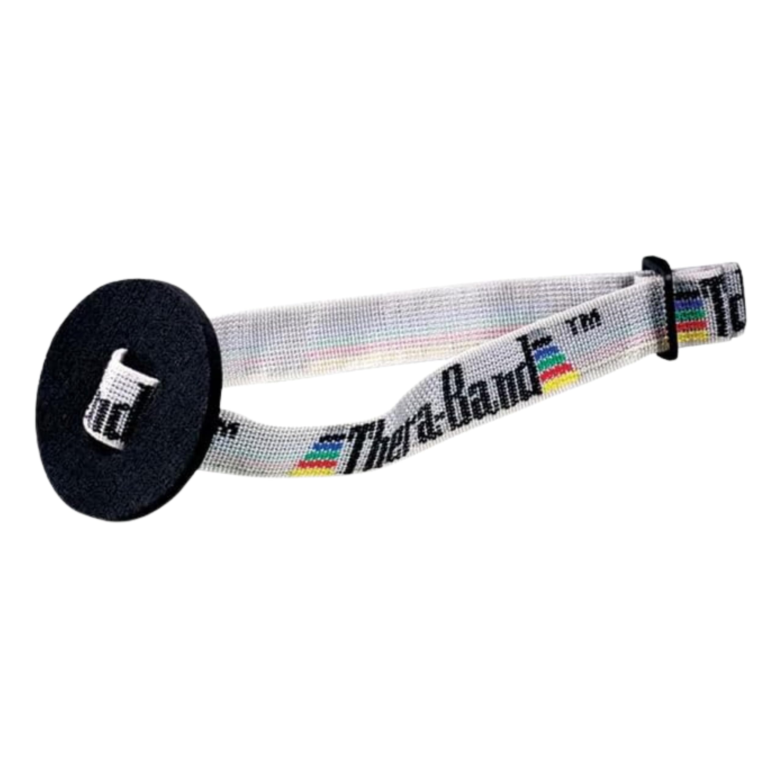 Accessories for Elastic Resistance Bands & Tubes with D Connector, Exercise Equipment to Create Home Gym Workout, Overdoor Station for Overhead Physical Therapy, Set of 2