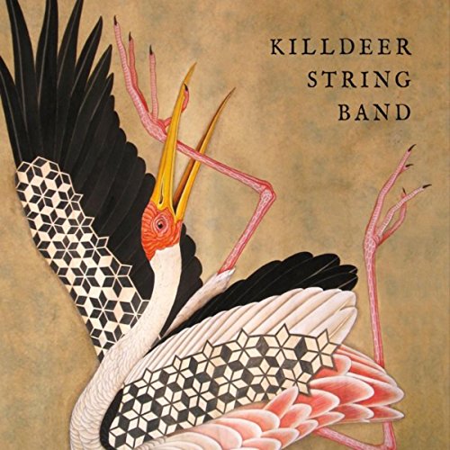 Play Killdeer String Band by Killdeer String Band on Amazon Music