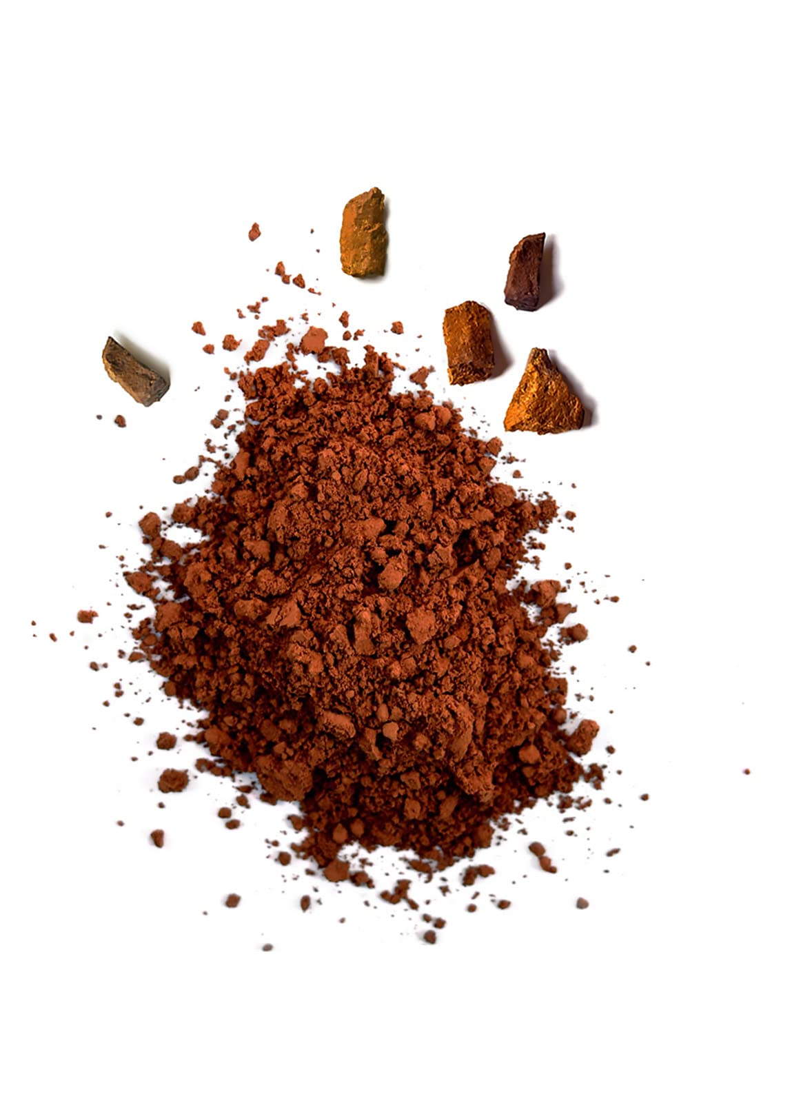 Poudre de Chaga Bio (150g)