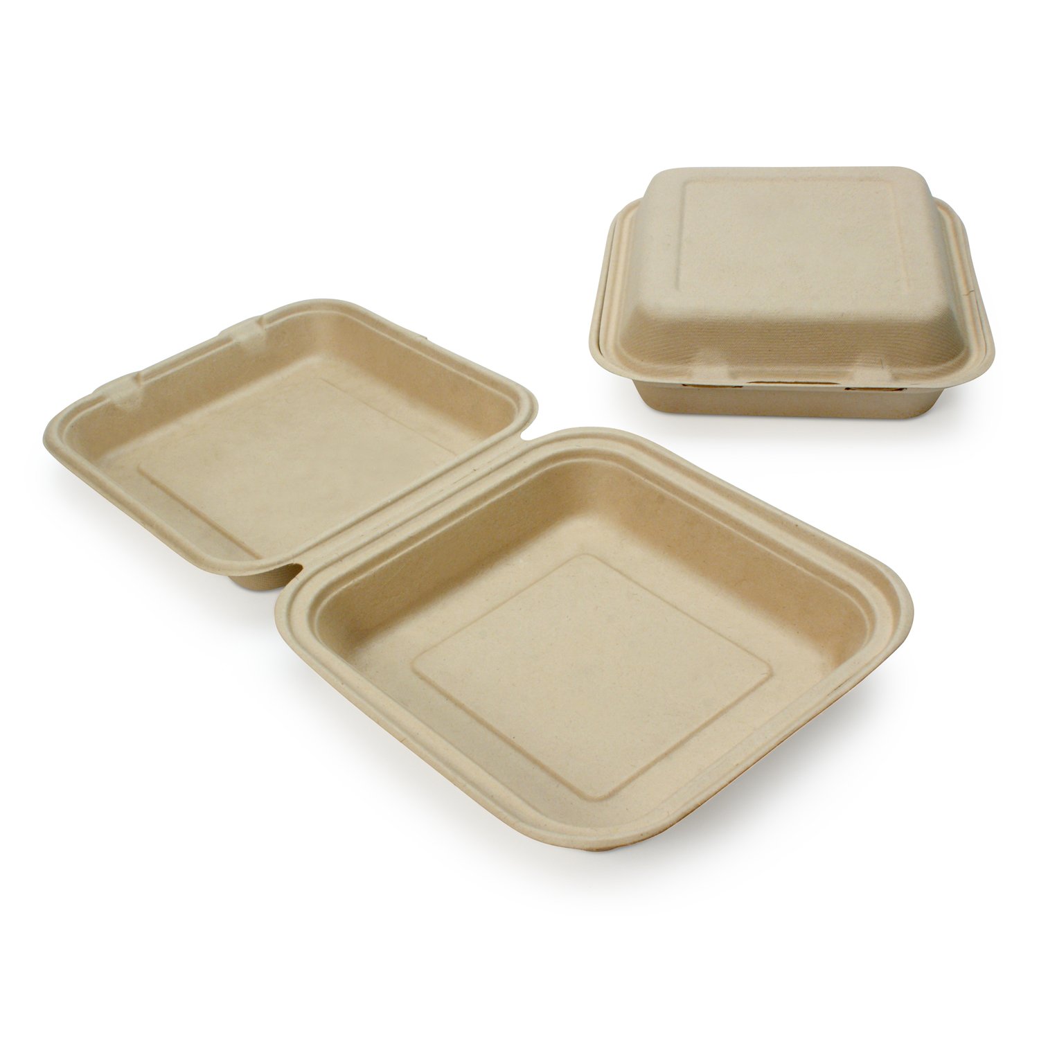 100 Compostable Disposable Food Containers with Lids [8”X8” 200 Pack