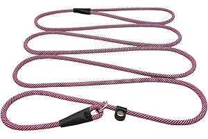8FT Slip Lead Dog Leash for Small and Medium Pets