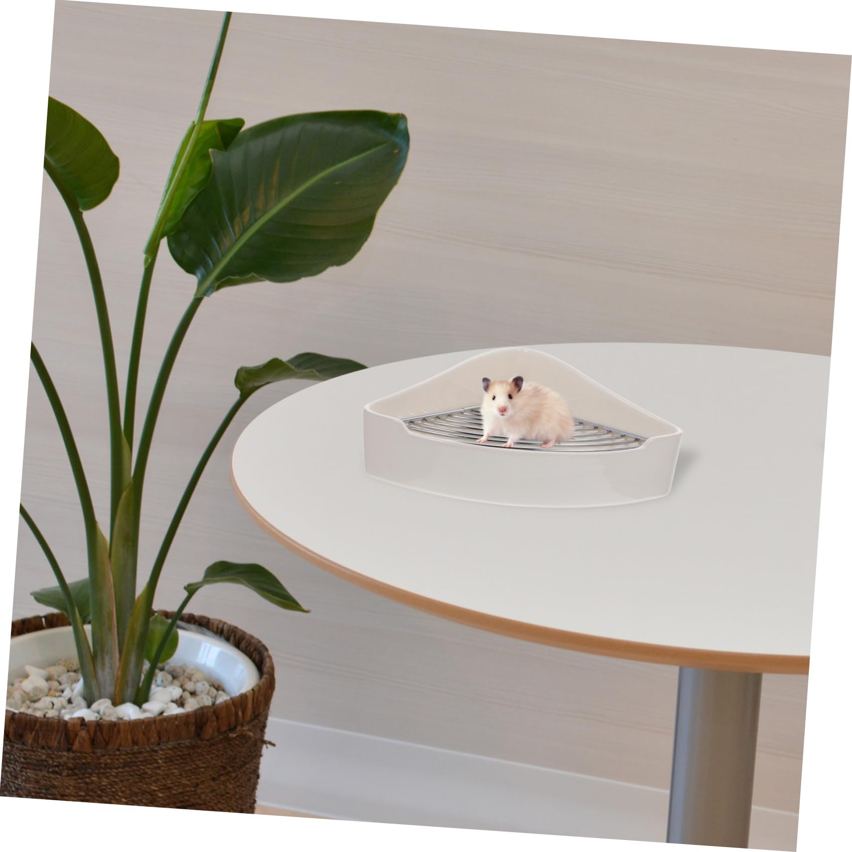 BESPORTBLE Kaninchen Toilette für Drinnen Katzentoilette aus Keramik Dreieckige Eckform Kippsicher und Verschleißfest für Kaninchen und Meerschweinchen