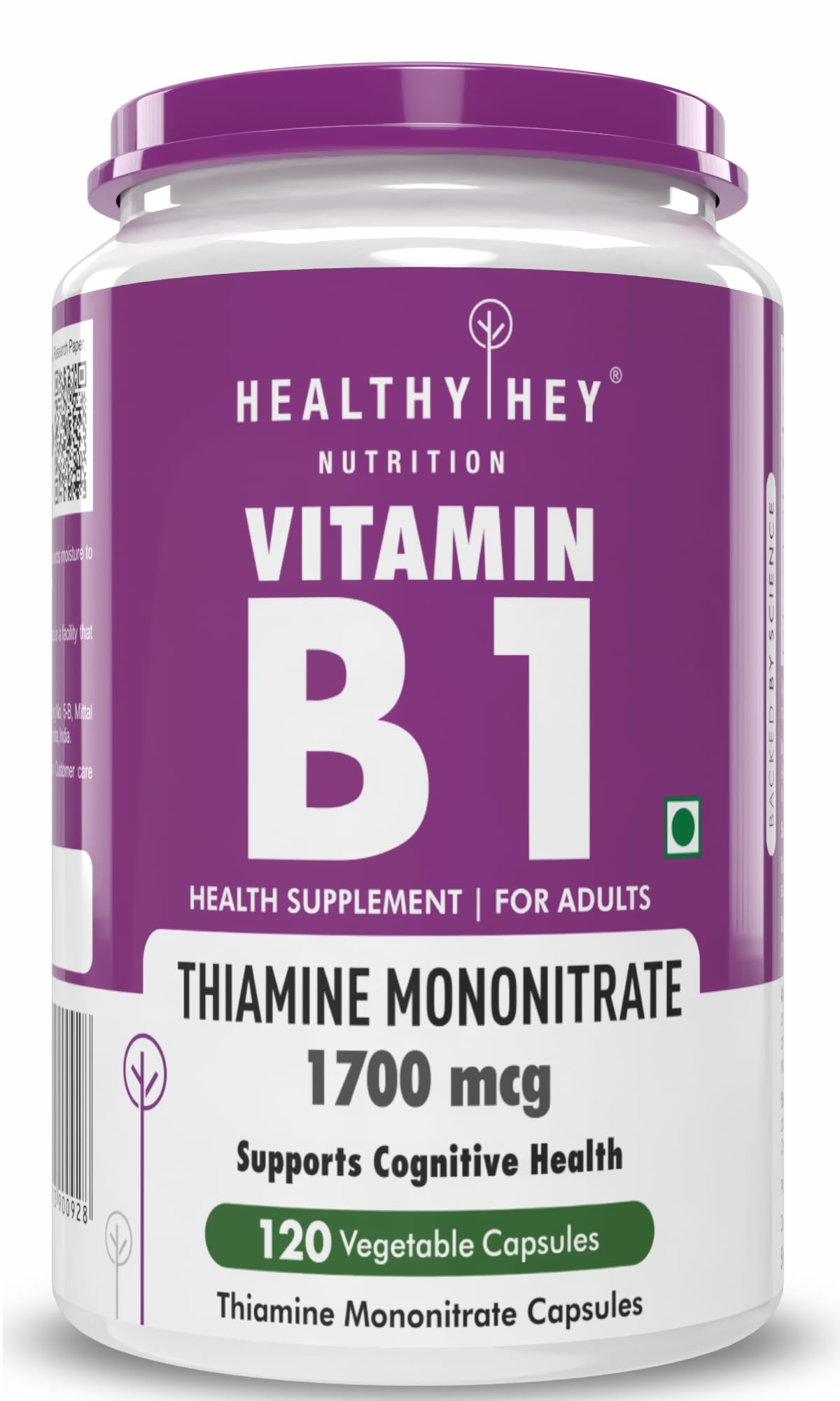 HealthyHey Nutrition Vitamin B1 Thiamine -120 Veg Capsules