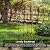 Best Choice Products Set of 2 60x15-inch Iron Arched Garden Trellis w/Branches, Birds for Lawn, Garden, Backyard, Climbing Plants