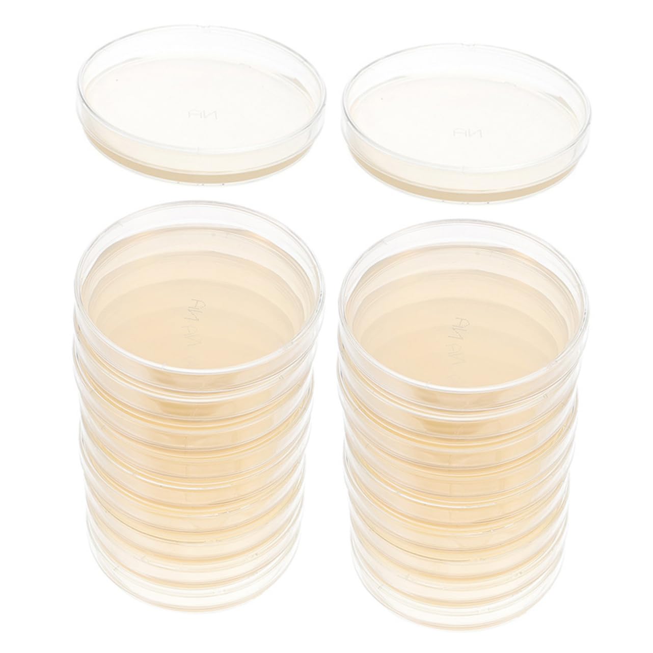 20 Pz Piastra Di Agar Nutriente Piastre Di Petri Con Agar Piastre Di Agar Per Esperimenti Piastra Di Petri Piastre Di Agar Petri Piatti Di Agar Ai 7c Ordinario Attrezzatura