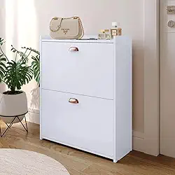 Sapateira 2 Gavetas Basculantes Organizadora Multiuso Armário Closet 12 Pares Quarto Hall De Entrada (Branco)