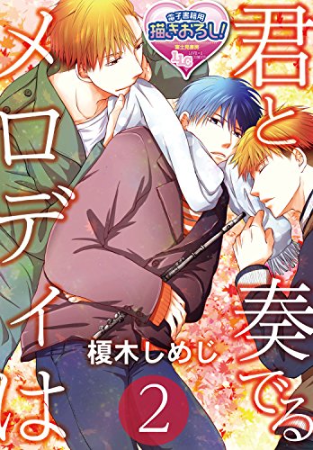 『君と奏でるメロディは』2巻