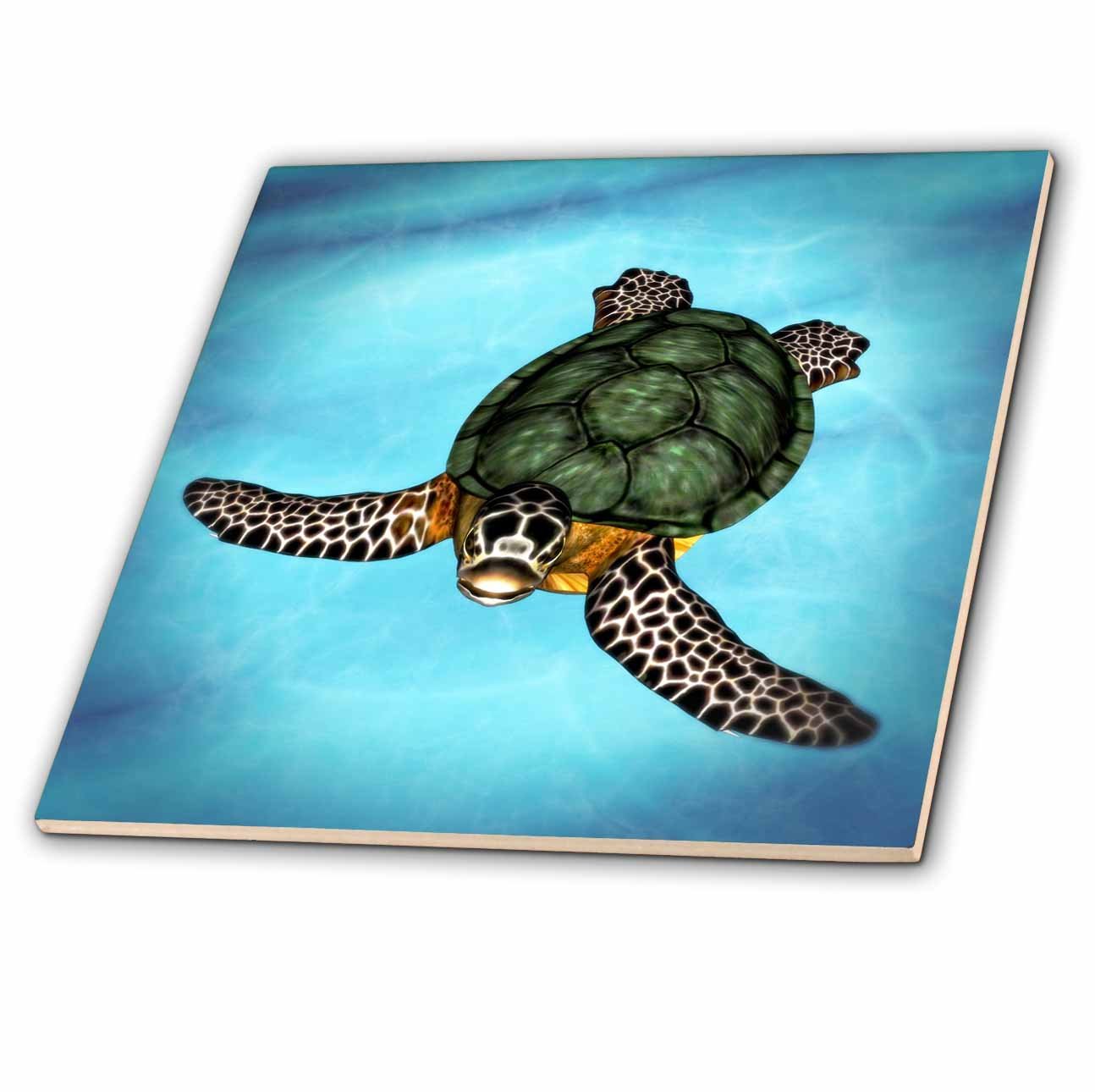 Amazon.co.jp: 3dRose ct_127564_2 ウミガメの海のセラミック