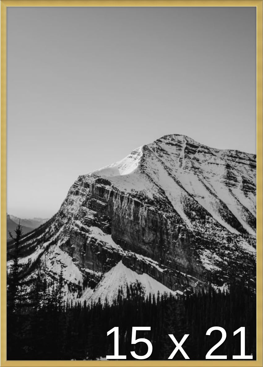 Frame It Easy 15 x 21 Gloss Gold Metal Frame (Ashford)