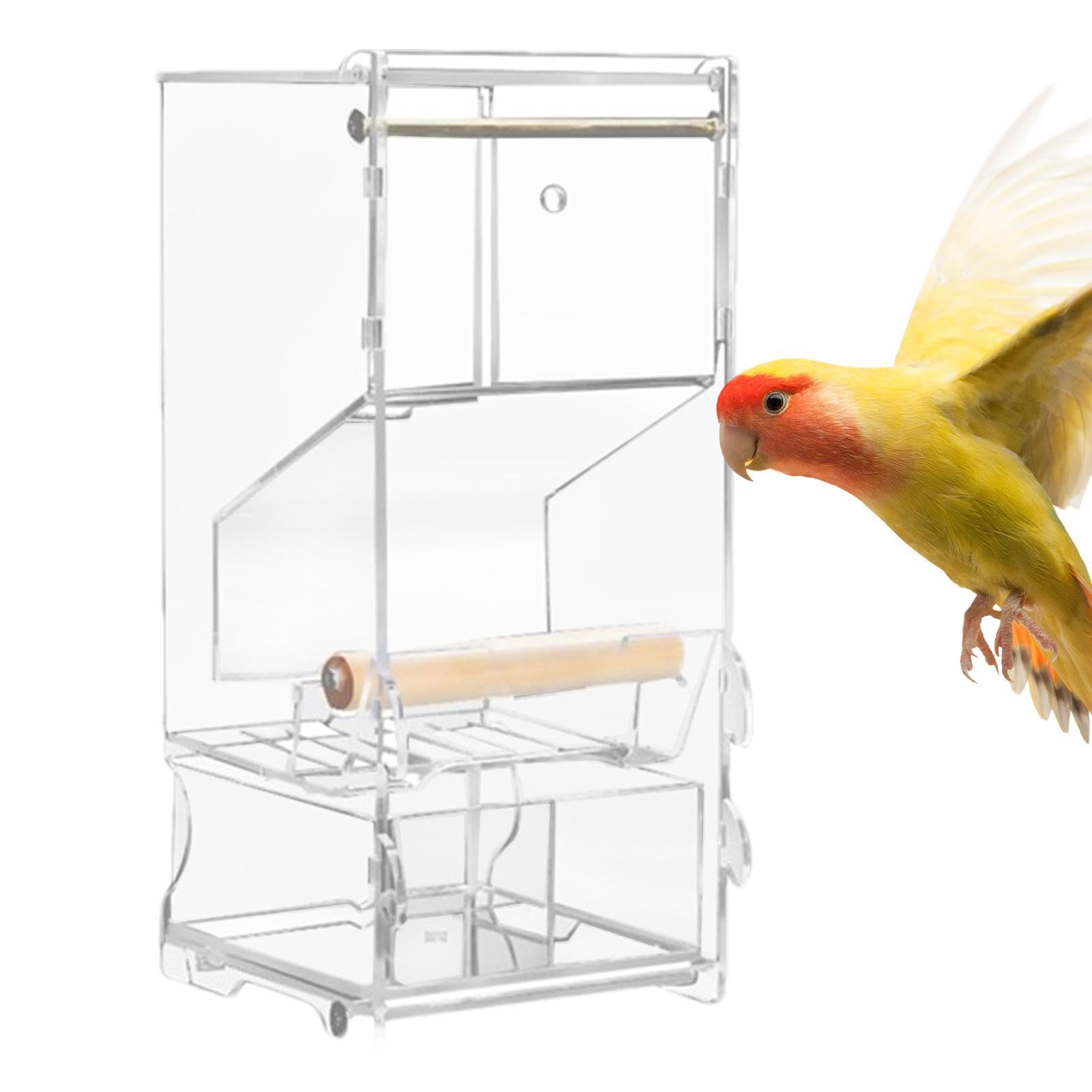 Mangeoire cage oiseaux acrylique avec perchoir : repas serein