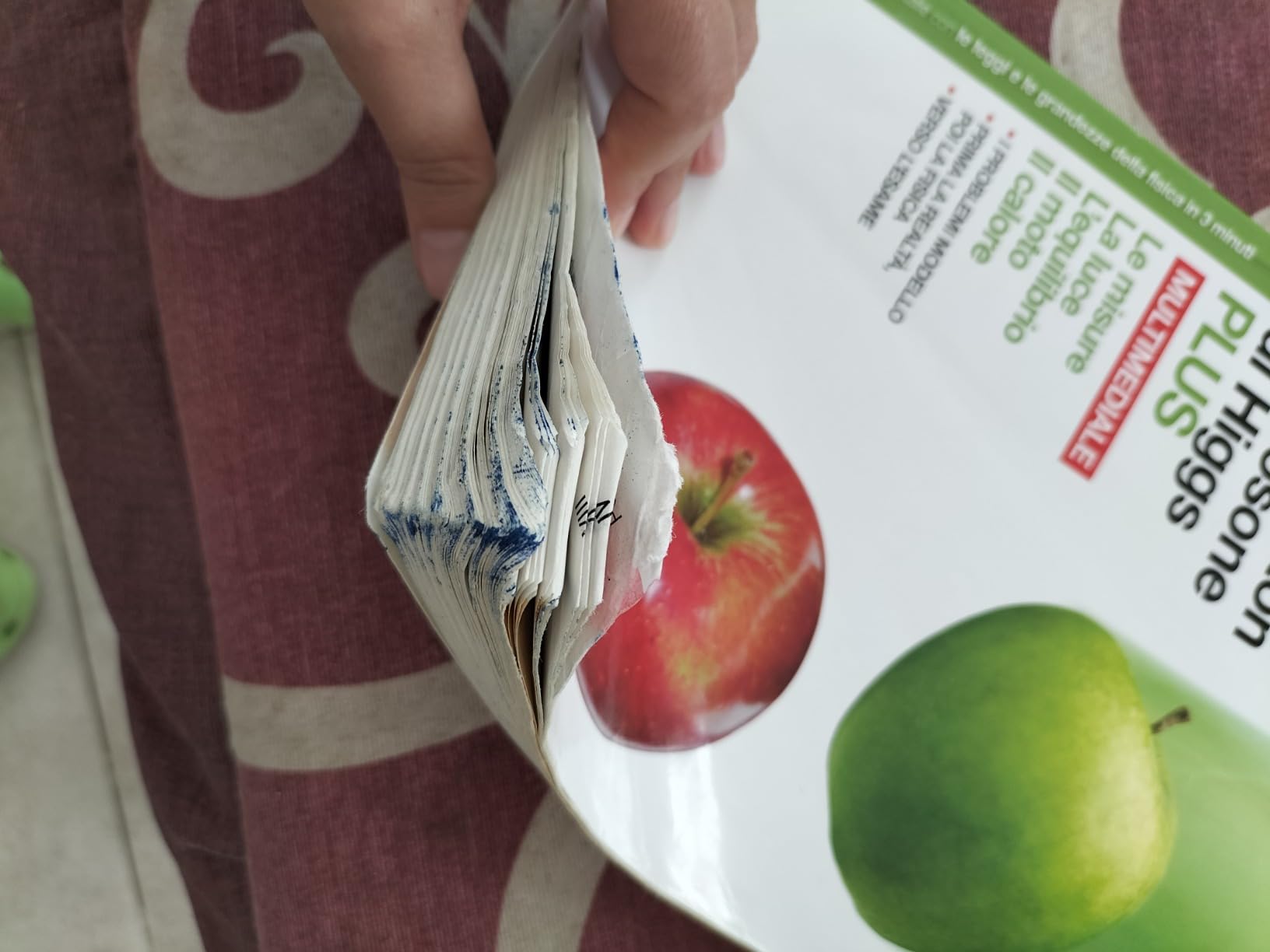 Dalla mela di Newton al bosone di Higgs. La fisica in cinque anni. Per