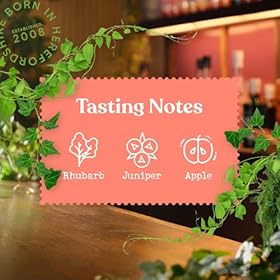 Buy Chase Gin 40% ABV 70cl – Experience Light & Refreshing Flavored Elegance