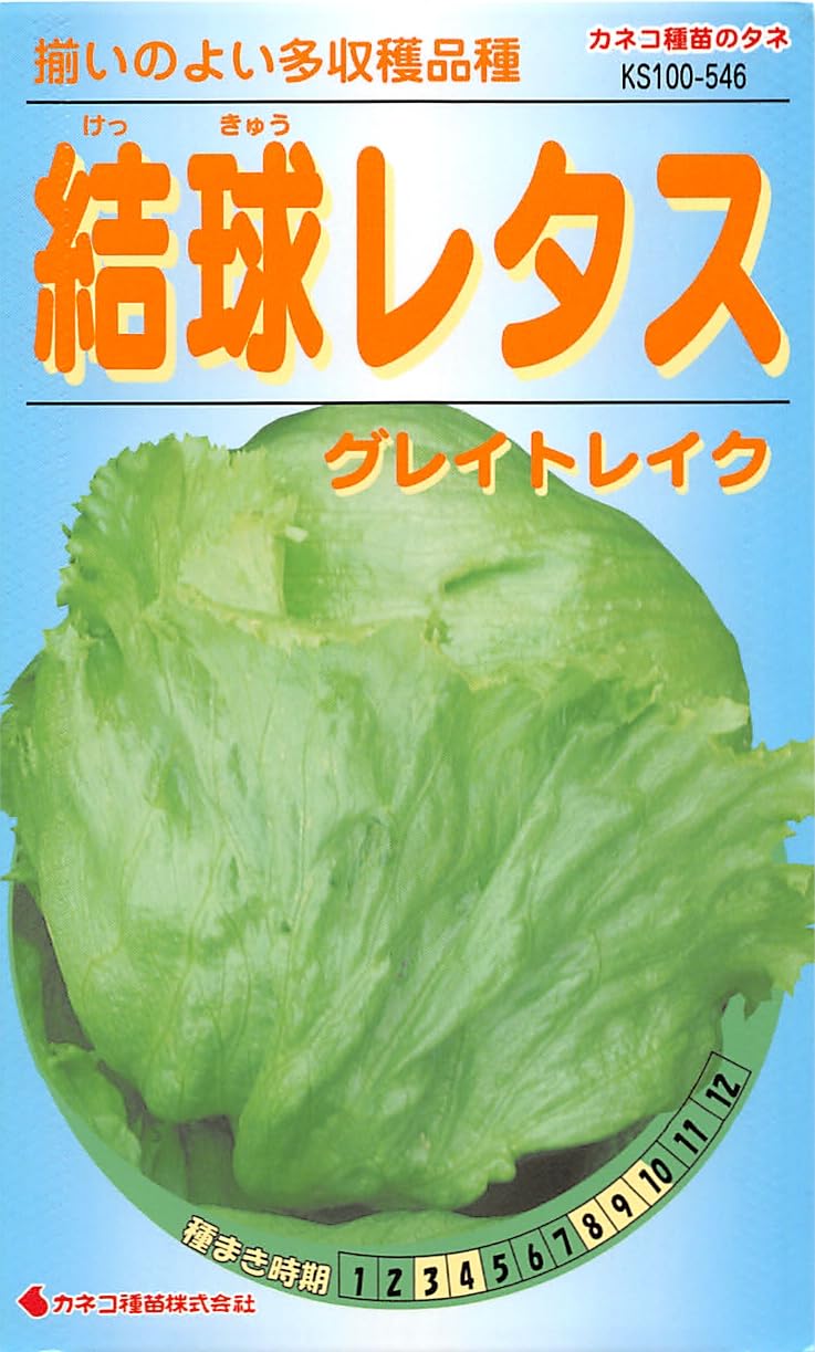 Amazon | カネコ種苗 園芸・種 KS100シリーズ 結球レタス グレイト