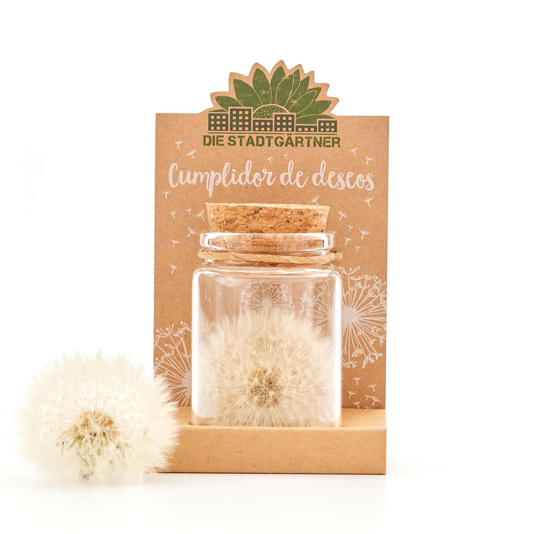 Cumple-Deseos I Verdadero Diente de León en un Frasco I Preservado de Forma Permanente I Regalo Creativo para Cualquier Ocasión I Regalo para Cumpleaños, Boda, Día de la Madre, Pascua, etc. …