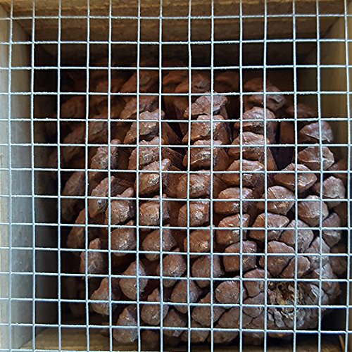 matrasa Insektenhotel Cabana - siebenstöckiges Luxushotel für Insekten – Bild 5