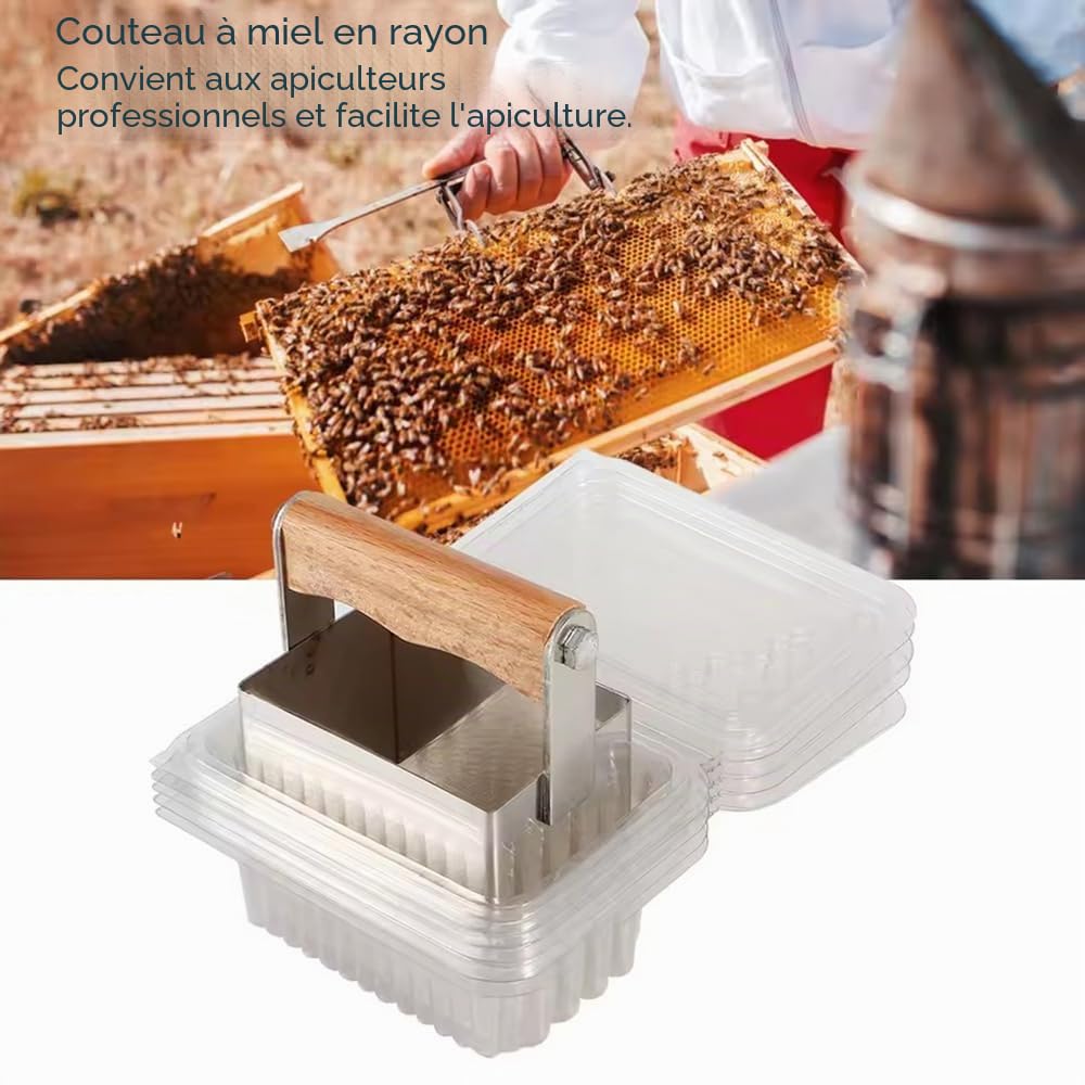 Support en Nid D'abeille,Support D'écran à Cadre en Nid D'abeillePrésentoir en Nid d'abeille,avec Coupe-Rayons et 10 Boîtes–Hauteur Réglable,45×26cm–Pour Apiculture, Restaurants, Boulangeries et Cafés