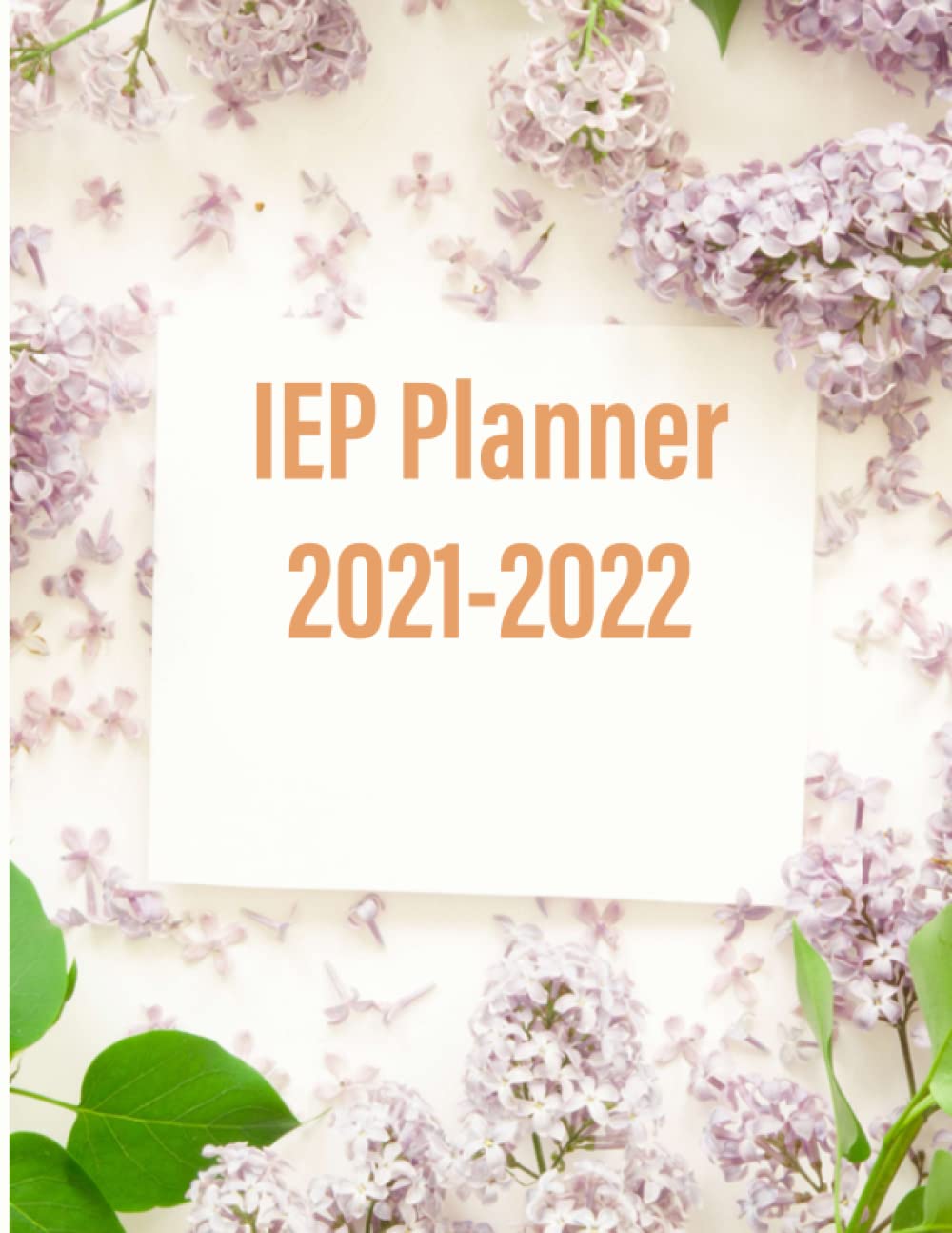 IEP Planner 2021 - 2022: IEP Planner Undated, Special Education Teacher IEP Snapshot for Special Education, Planner Undated for teacher, | 8.5 x 11 inches 120 Pages