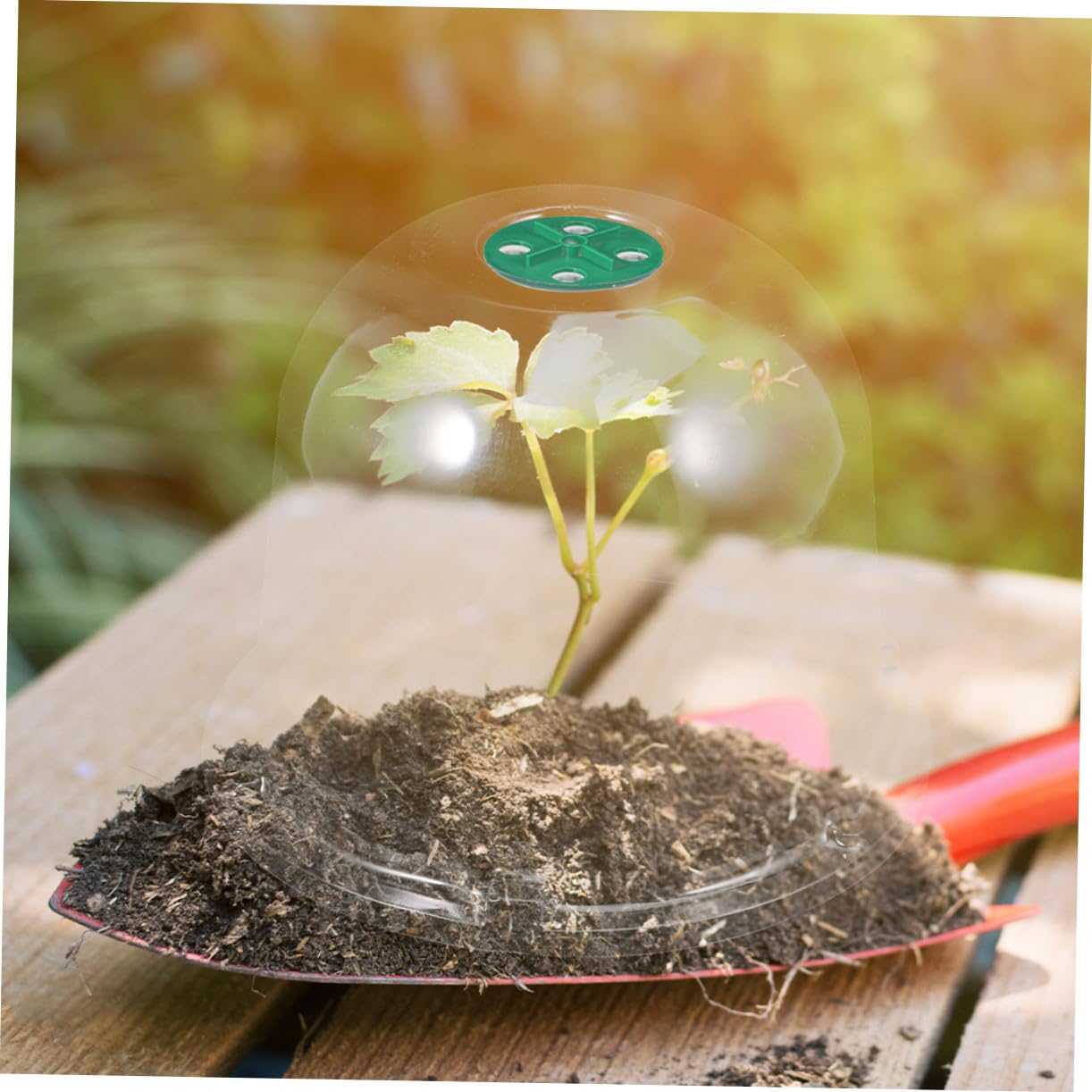 Yardenfun 3 Stück Mini Gewächshaus Pflanzkuppel aus Robustem Pet Material Transparente Pflanzenhaube für Anzucht Frostschutz und Schutz im Garten Vielseitig als Garten Cloche für Blumen