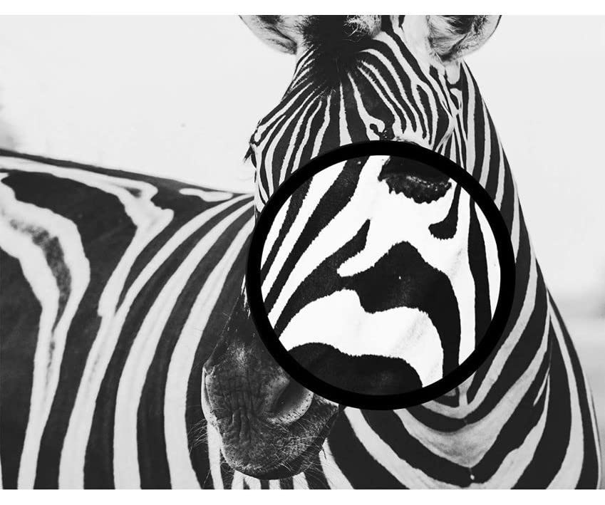 RT SK-5250 Ribbon Cartridge Combo Pack of 5pcs Passbook Printer Ribbon - Image 3