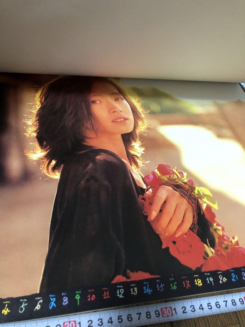 Amazon.co.jp: 中森明菜 カレンダー1991年 : 文房具・オフィス用品 