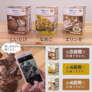 Amazon.co.jp: きのこ栽培セット: DIY・工具・ガーデン