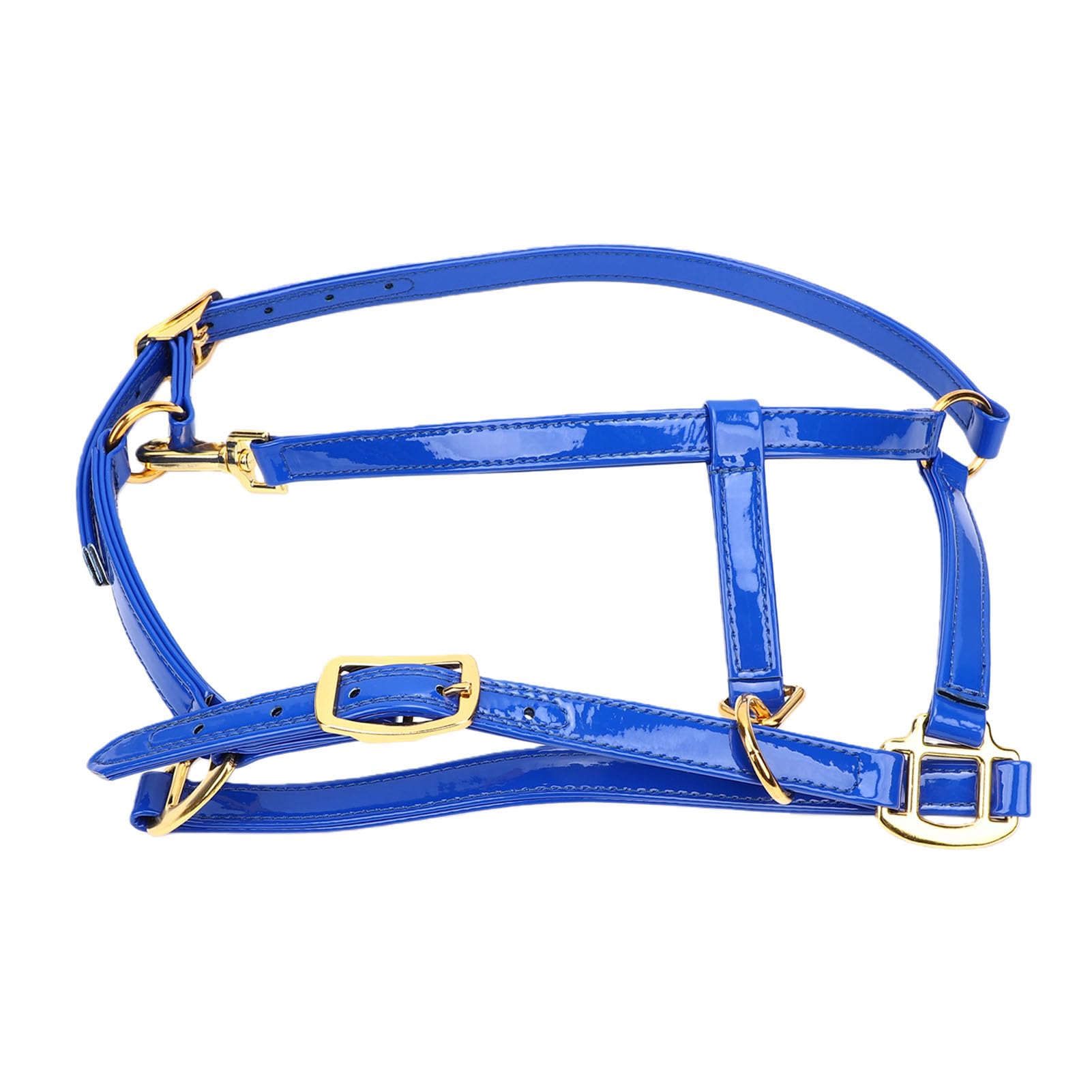 SIXRUN Briglia per Cavallo Testiera in Pelle Smaltata a Doppio Strato da 20 Mm con Fibbie Color Oro Resistente agli Odori Puntina Facile da Pulire per Allenamento Spettacoli di Equitazione