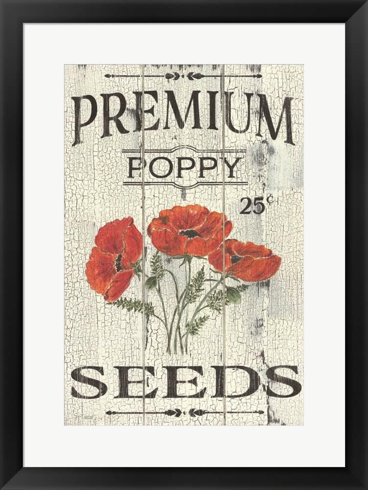 Poppy Seeds by Soulspeak & Sawdust Art Print, 8 x 12 inches