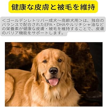 Amazon.co.jp: ロイヤルカナン ゴールデンレトリバー 成犬・高年齢用