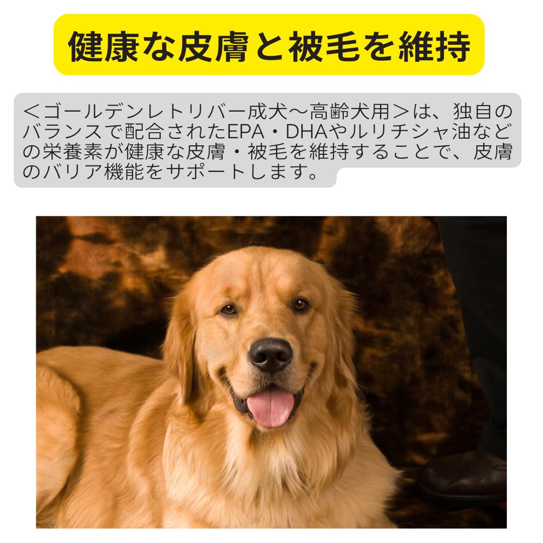 Amazon.co.jp: ロイヤルカナン ゴールデンレトリバー 成犬・高