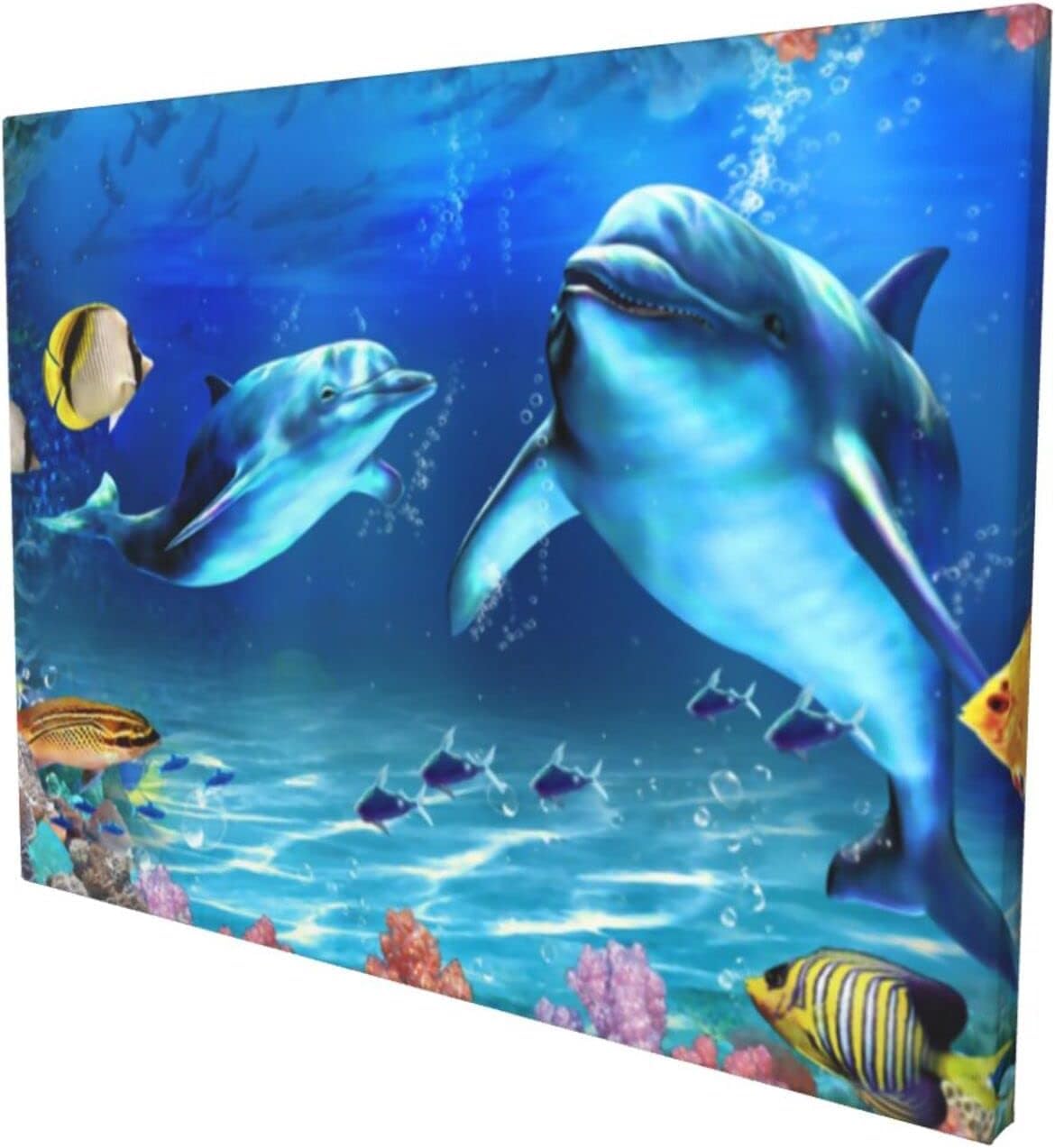 Amazon.co.jp: アートポスター フレーム 装飾画 熱帯魚 イルカ