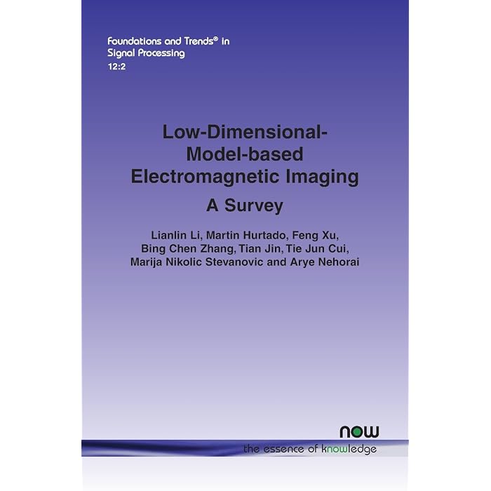Buy Low Dimensional Model based Electromagnetic Imaging A Survey 31 Buy low dimensional model based electromagnetic imaging a survey 31